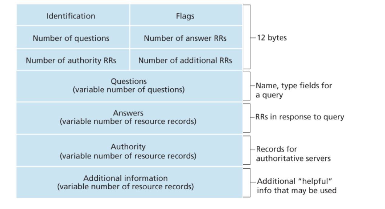 dns