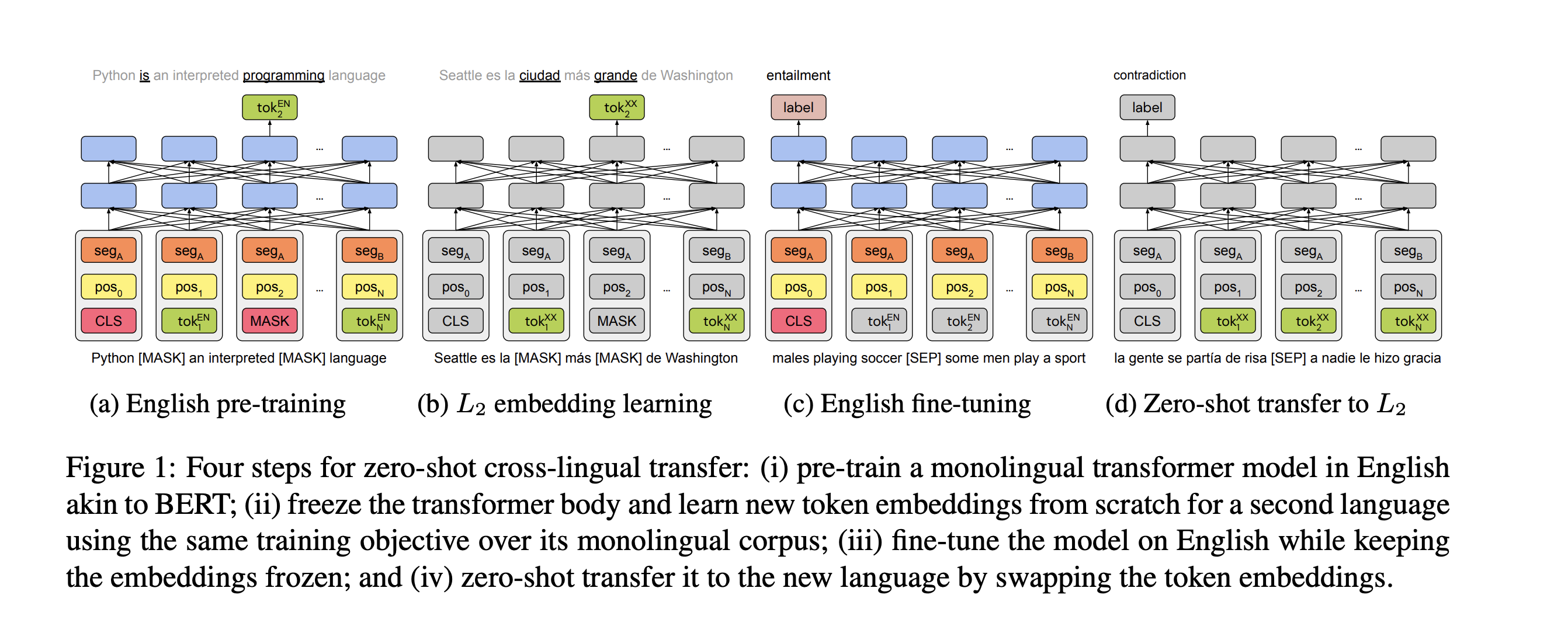 monolingual bert transfer